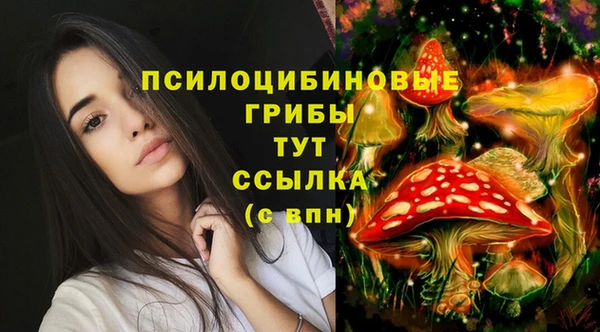 трава Алексеевка